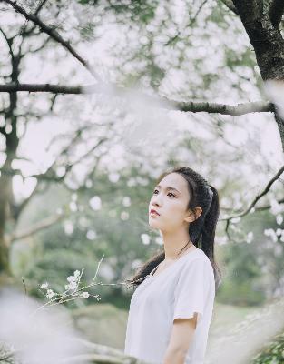 青苹果乐园影院电视剧免费观看